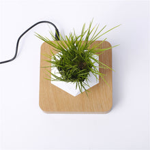 Lade das Bild in den Galerie-Viewer, Flowlow - Schwebender Blumentopf
