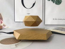 Lade das Bild in den Galerie-Viewer, Svævende urtepotte