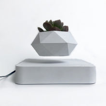 Lade das Bild in den Galerie-Viewer, Urtepotter