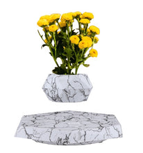 Lade das Bild in den Galerie-Viewer, Skab en elegant og sofistikeret atmosfære i dit hjem med vores italiensk inspirerede urtepotte, der giver dine planter den opmærksomhed og pleje, de fortjener.