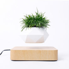 Lade das Bild in den Galerie-Viewer, Urtepotte med levitationsteknologi og plante svævende over en mørk valnødbase