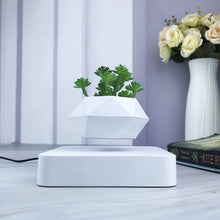 Lade das Bild in den Galerie-Viewer, Hvid urtepotte