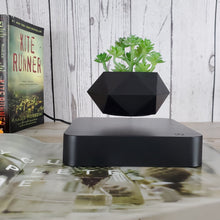 Lade das Bild in den Galerie-Viewer, Hvid/sort urtepotte