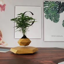 Lade das Bild in den Galerie-Viewer, Tropisk svævende urtepotte