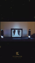 Laden und Abspielen von Videos im Galerie-Viewer, Flowlow - X-Flow futuristisches einzigartiges verkaufsdisplay
